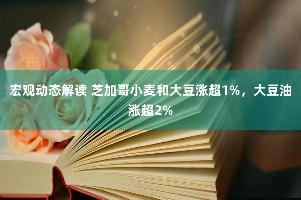 宏观动态解读 芝加哥小麦和大豆涨超1%，大豆油涨超2%