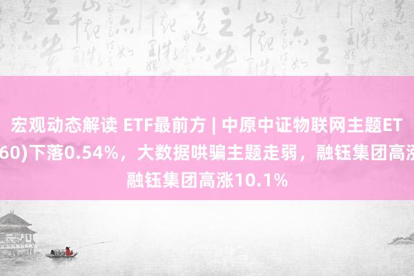 宏观动态解读 ETF最前方 | 中原中证物联网主题ETF(516260)下落0.54%，大数据哄骗主题走弱，融钰集团高涨10.1%