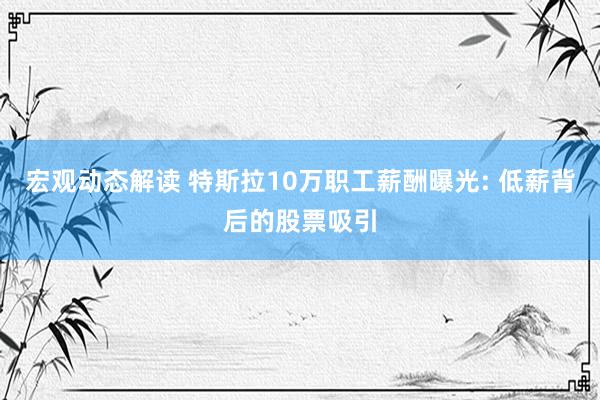 宏观动态解读 特斯拉10万职工薪酬曝光: 低薪背后的股票吸引