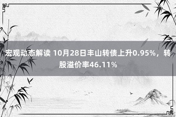 宏观动态解读 10月28日丰山转债上升0.95%，转股溢价率46.11%