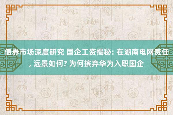 债券市场深度研究 国企工资揭秘: 在湖南电网责任, 远景如何? 为何摈弃华为入职国企