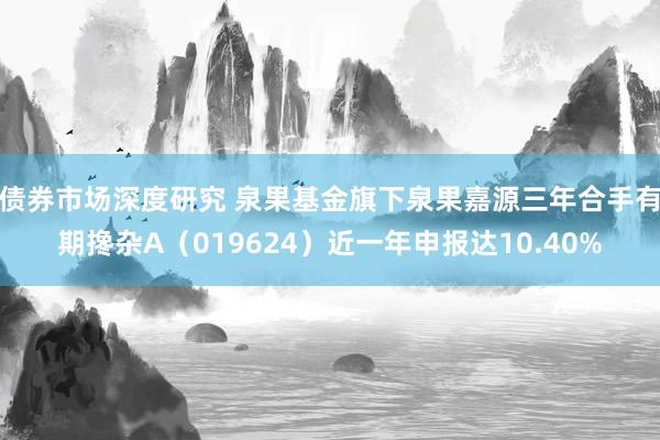 债券市场深度研究 泉果基金旗下泉果嘉源三年合手有期搀杂A（019624）近一年申报达10.40%