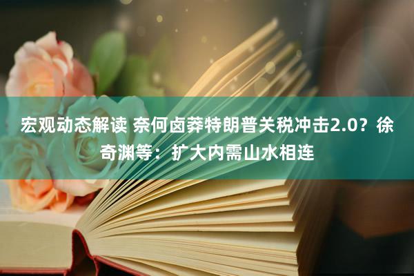 宏观动态解读 奈何卤莽特朗普关税冲击2.0？徐奇渊等：扩大内需山水相连