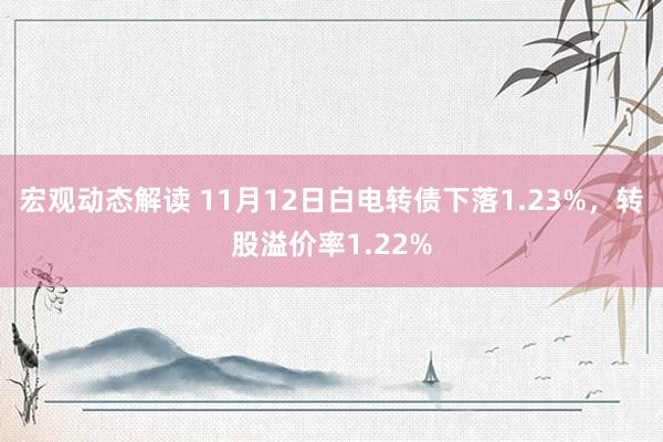 宏观动态解读 11月12日白电转债下落1.23%，转股溢价率1.22%