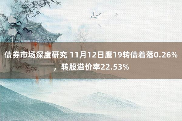 债券市场深度研究 11月12日鹰19转债着落0.26%，转股溢价率22.53%