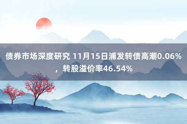 债券市场深度研究 11月15日浦发转债高潮0.06%，转股溢价率46.54%