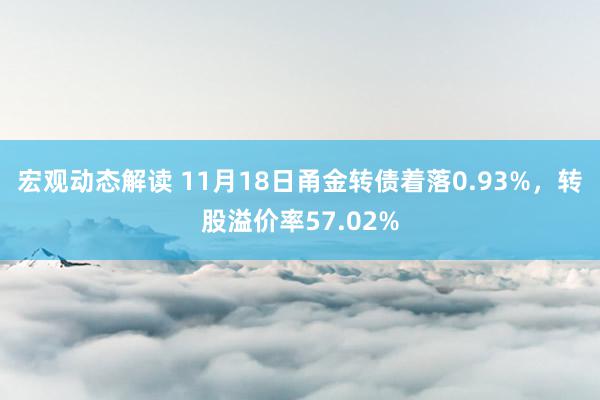 宏观动态解读 11月18日甬金转债着落0.93%，转股溢价率57.02%