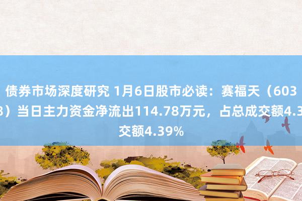 债券市场深度研究 1月6日股市必读：赛福天（603028）当日主力资金净流出114.78万元，占总成交额4.39%