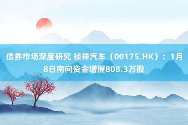 债券市场深度研究 祯祥汽车（00175.HK）：1月8日南向资金增握808.3万股