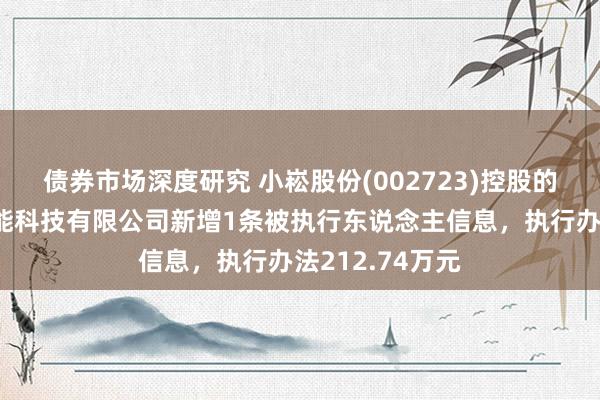 债券市场深度研究 小崧股份(002723)控股的广东金莱特智能科技有限公司新增1条被执行东说念主信息，执行办法212.74万元