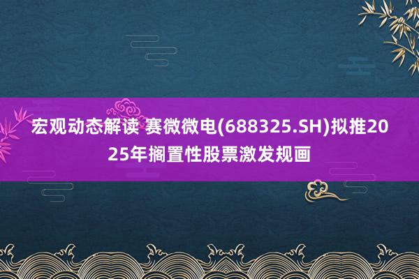 宏观动态解读 赛微微电(688325.SH)拟推2025年搁置性股票激发规画