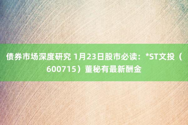 债券市场深度研究 1月23日股市必读：*ST文投（600715）董秘有最新酬金