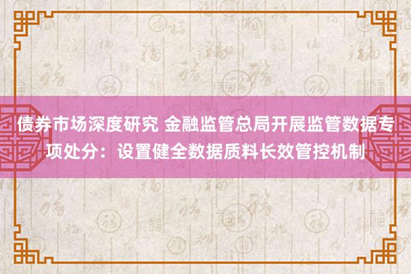 债券市场深度研究 金融监管总局开展监管数据专项处分：设置健全数据质料长效管控机制