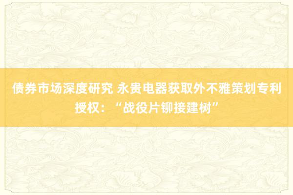 债券市场深度研究 永贵电器获取外不雅策划专利授权：“战役片铆接建树”