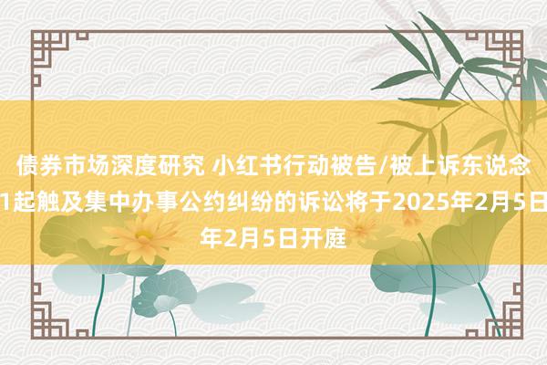 债券市场深度研究 小红书行动被告/被上诉东说念主的1起触及集中办事公约纠纷的诉讼将于2025年2月5日开庭