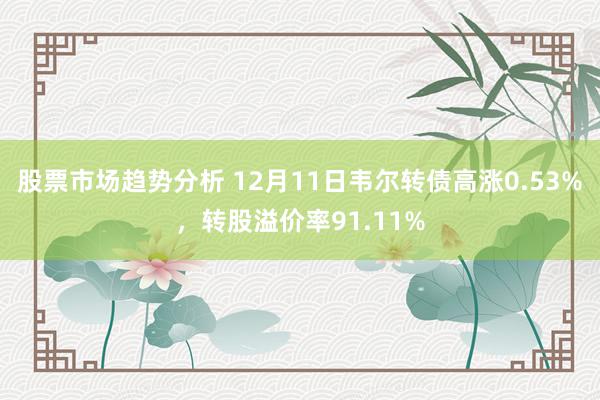 股票市场趋势分析 12月11日韦尔转债高涨0.53%，转股溢价率91.11%