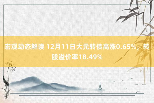 宏观动态解读 12月11日大元转债高涨0.65%，转股溢价率18.49%