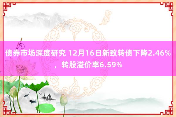 债券市场深度研究 12月16日新致转债下降2.46%，转股溢价率6.59%