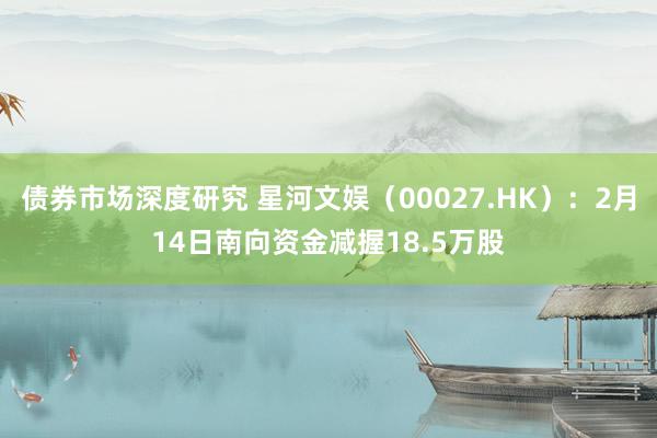 债券市场深度研究 星河文娱（00027.HK）：2月14日南向资金减握18.5万股