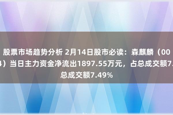 股票市场趋势分析 2月14日股市必读：森麒麟（002984）当日主力资金净流出1897.55万元，占总成交额7.49%