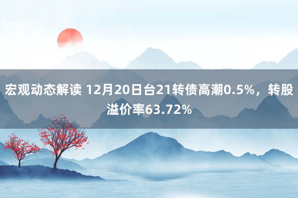 宏观动态解读 12月20日台21转债高潮0.5%，转股溢价率63.72%