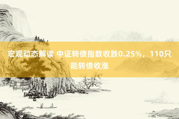 宏观动态解读 中证转债指数收跌0.25%，110只能转债收涨