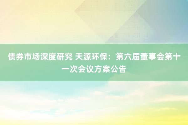 债券市场深度研究 天源环保：第六届董事会第十一次会议方案公告