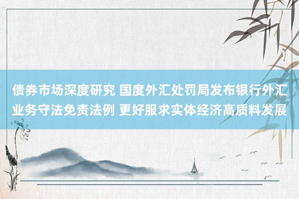 债券市场深度研究 国度外汇处罚局发布银行外汇业务守法免责法例 更好服求实体经济高质料发展