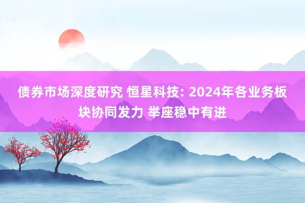 债券市场深度研究 恒星科技: 2024年各业务板块协同发力 举座稳中有进