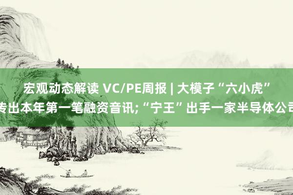 宏观动态解读 VC/PE周报 | 大模子“六小虎”传出本年第一笔融资音讯;“宁王”出手一家半导体公司