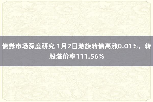 债券市场深度研究 1月2日游族转债高涨0.01%，转股溢价率111.56%