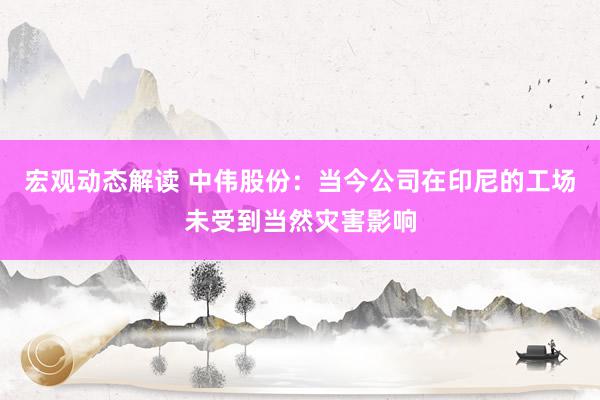 宏观动态解读 中伟股份：当今公司在印尼的工场未受到当然灾害影响