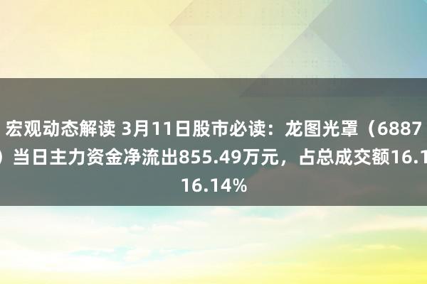 宏观动态解读 3月11日股市必读：龙图光罩（688721）当日主力资金净流出855.49万元，占总成交额16.14%