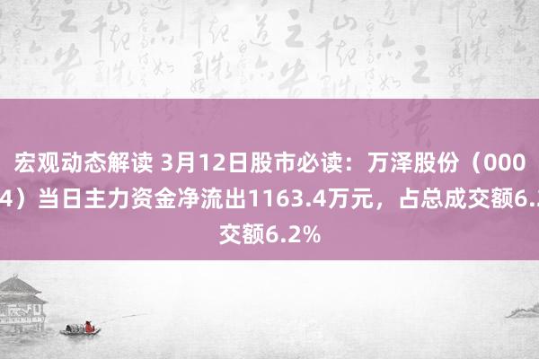 宏观动态解读 3月12日股市必读：万泽股份（000534）当日主力资金净流出1163.4万元，占总成交额6.2%