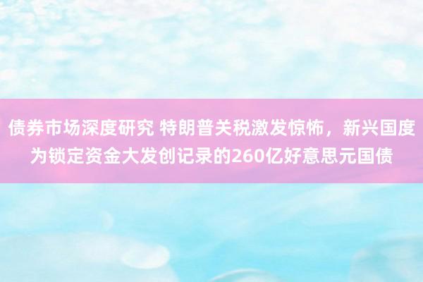 债券市场深度研究 特朗普关税激发惊怖，新兴国度为锁定资金大发创记录的260亿好意思元国债