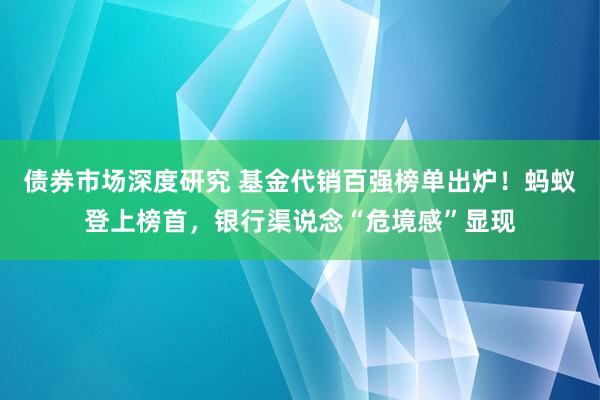 债券市场深度研究 基金代销百强榜单出炉！蚂蚁登上榜首，银行渠说念“危境感”显现